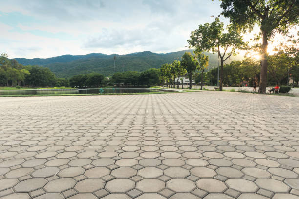 Best Permeable Paver Driveway  in Wills Point, TX