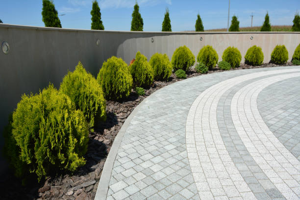 Reliable Wills Point, TX Driveway Pavers Solutions