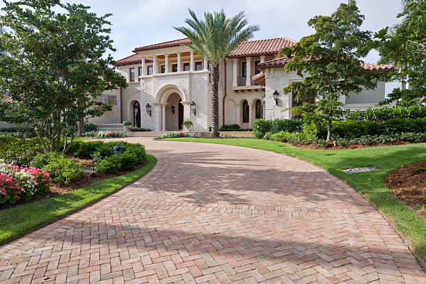 Best Driveway Paving Near Me  in Wills Point, TX