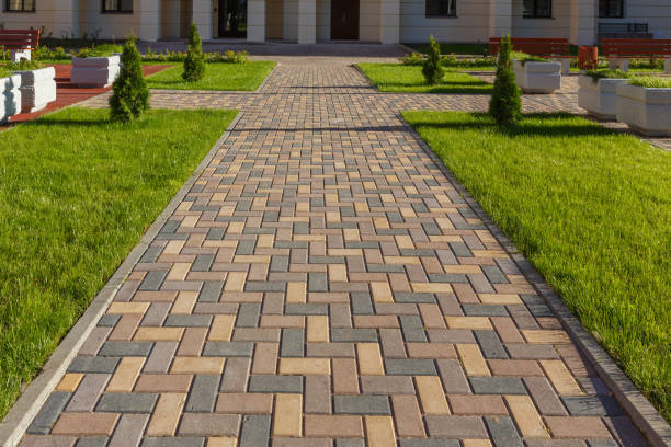 Best Interlocking Driveway Pavers  in Wills Point, TX